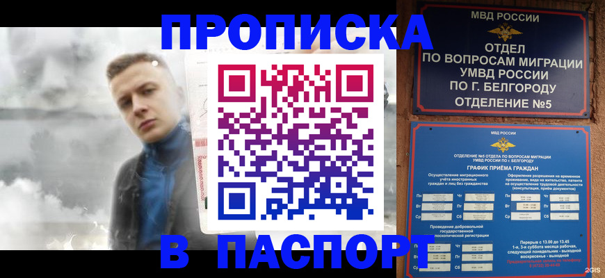 временная регистрация в Сланцах